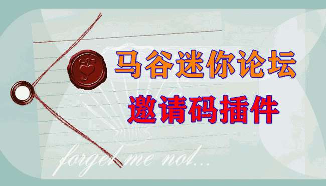 邀请码插件
